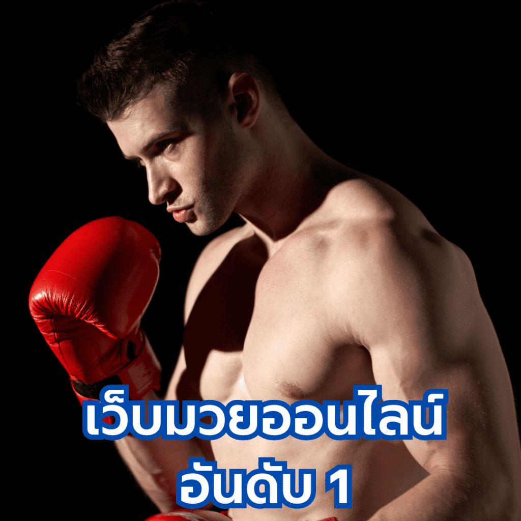 ทีเด็ดมวย.site